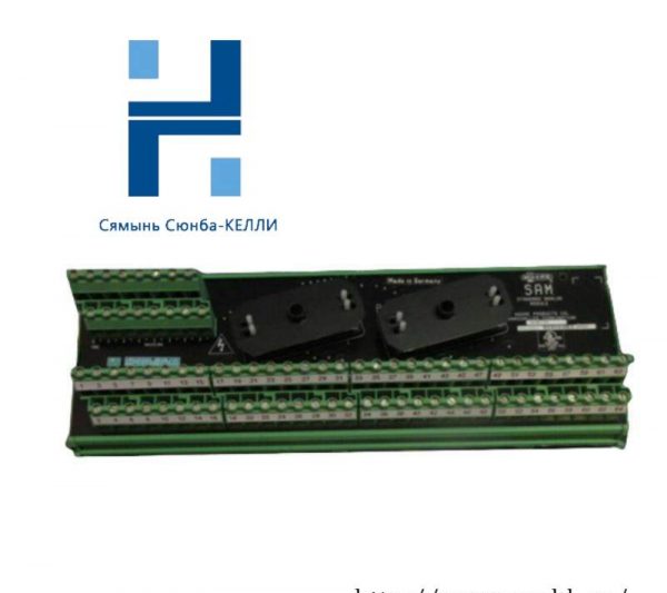 Moore 16169-1-07 SAM: Industrial Analog Module for Precision Control