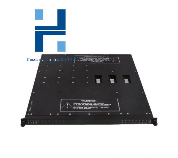 TRICONEX 3604E: Advanced Digital Output Modules for Industrial Control Systems