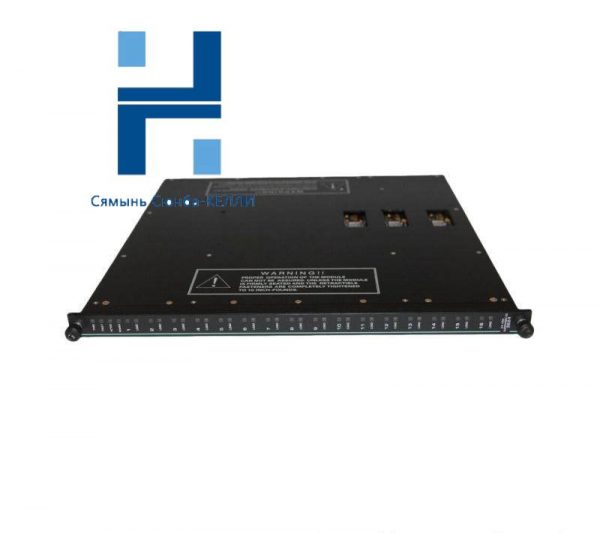 Invensys Triconex 3624 Digital Input/Output Module