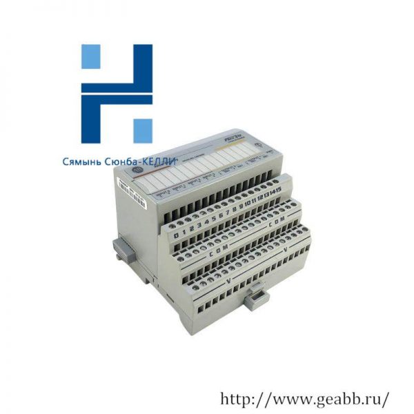 AB 1794-IE4X0E2 I/O MODULE: Advanced Control System Integration