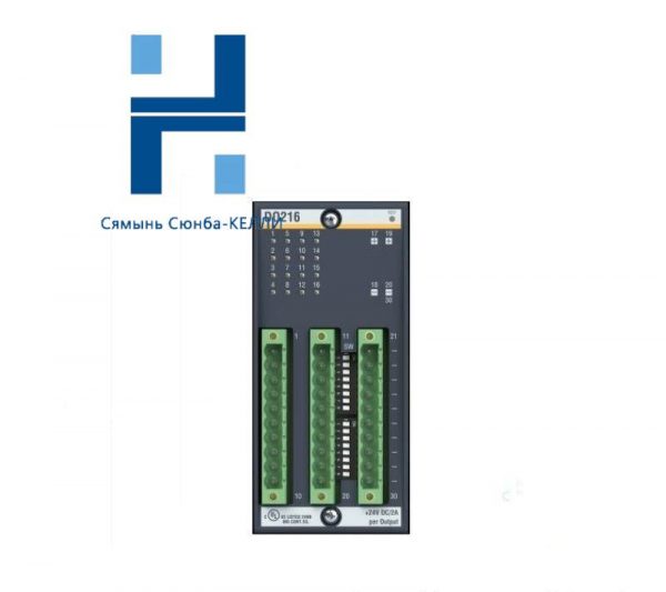 BACHMANN DO216 Digital Output Module - High-Performance, Reliable Control Solutions