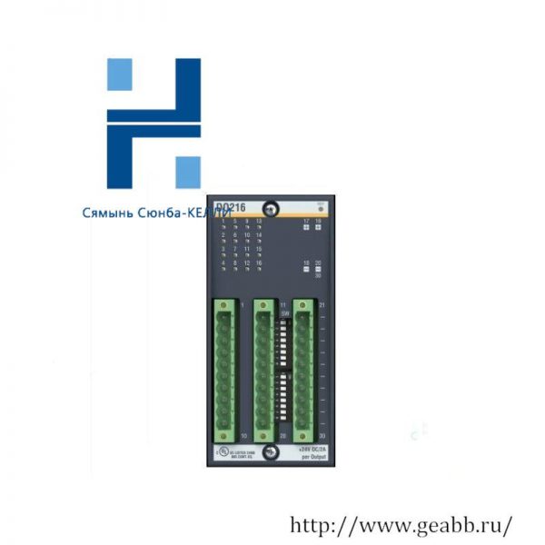 BACHMANN DO216 Digital Output Module - High-Performance, Reliable Control Solutions