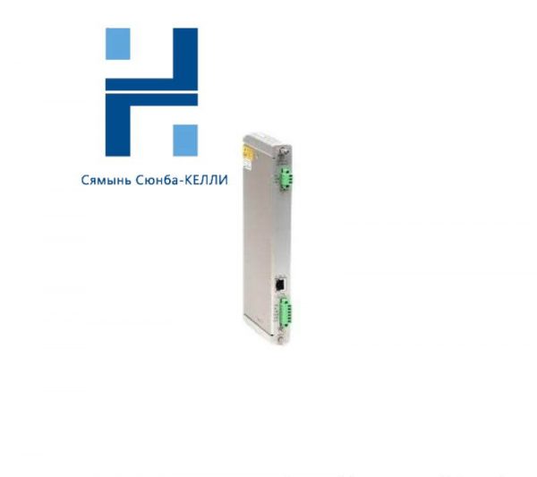 BENTLY NEVADA 146031-01: Transient Data Interface I/O Module