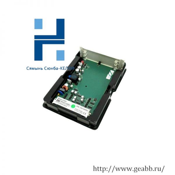 Braun GMBH E1691 Power Supply Module: Advanced Industrial Control Solutions