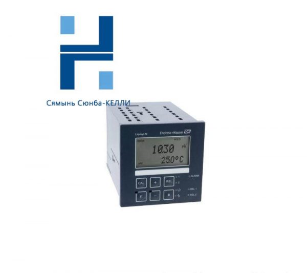 E+H Liquisys CPM223-PR0005 pH/ORP Transmitter, Precision Monitoring for Industrial Processes