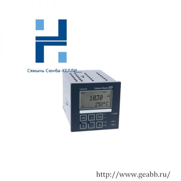 E+H Liquisys CPM223-PR0005 pH/ORP Transmitter, Precision Monitoring for Industrial Processes