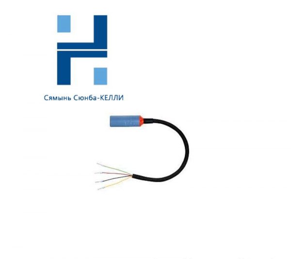 Endress+Hauser CYK10-G101 Digital Measuring Cable, High Precision for Process Control