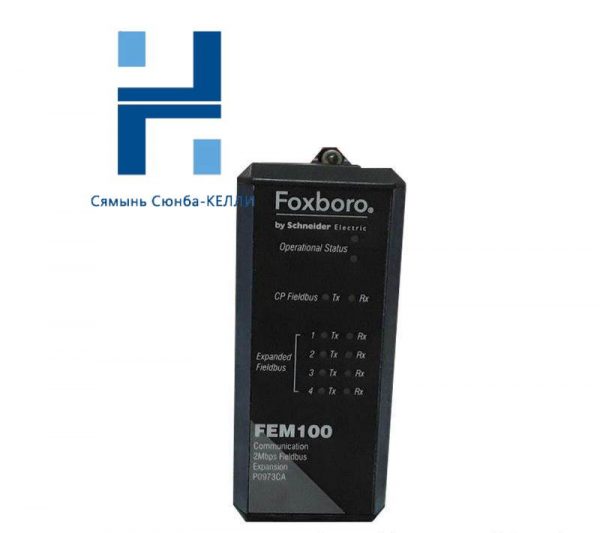 FOXBORO FEM100 Fieldbus Expansion Module for Industrial Automation