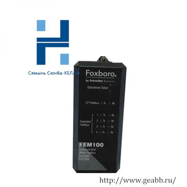 FOXBORO FEM100 Fieldbus Expansion Module for Industrial Automation