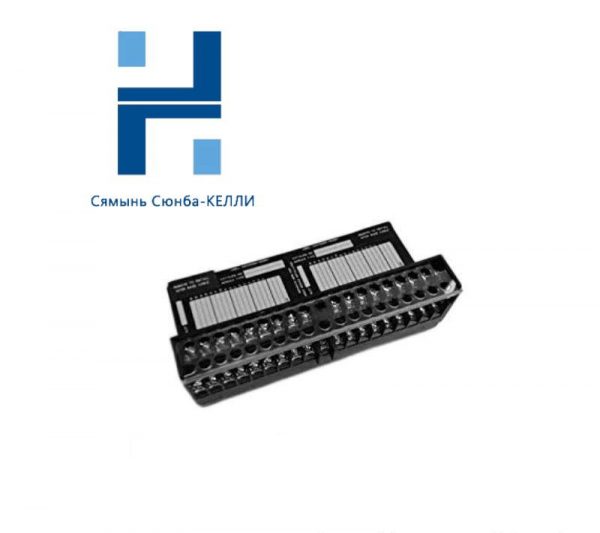 GE IC670CHS001: High-Performance I/O Terminal Block for Industrial Automation