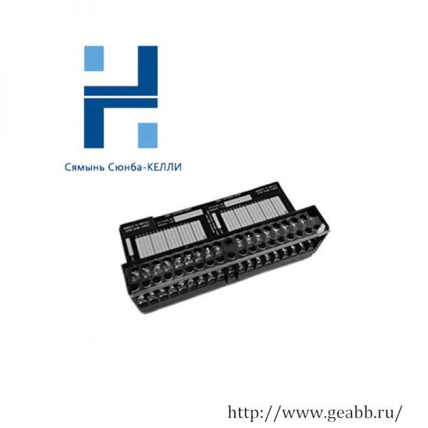 GE IC670CHS001: High-Performance I/O Terminal Block for Industrial Automation