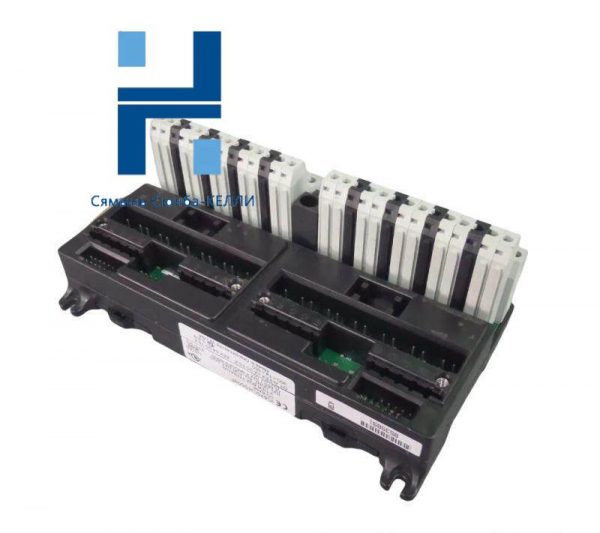 GE IC670CHS002: High-Performance Input/Output Terminal Block