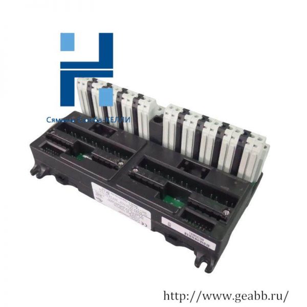 GE IC670CHS002: High-Performance Input/Output Terminal Block