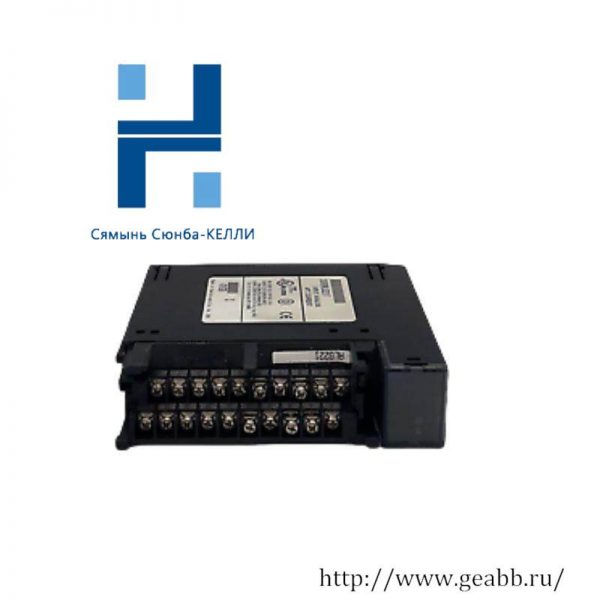 GE Fanuc IC693ALG221F: Advanced Analog Input Module for Industrial Automation, 200 Characters