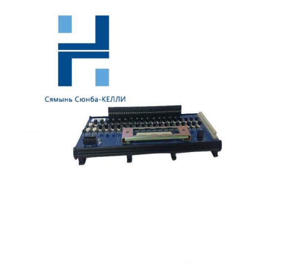 ICS TRIPLEX T8830 - Trusted 40-Channel Analogue Input Module