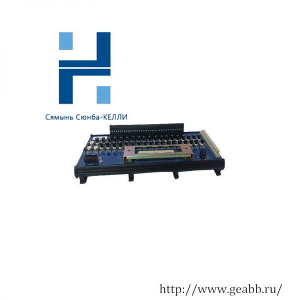 ICS TRIPLEX T8830 - Trusted 40-Channel Analogue Input Module