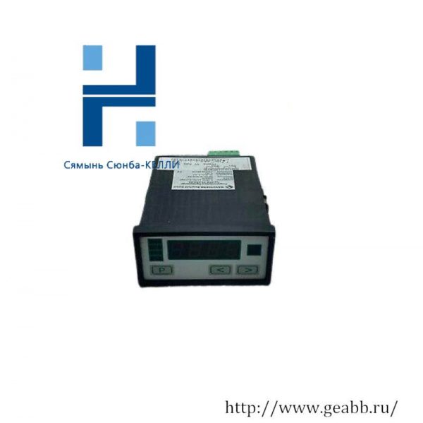 Negele Prozessoren-Anzeige DPM-GS-2GW-S Digital Display - High Precision Measurement & Control