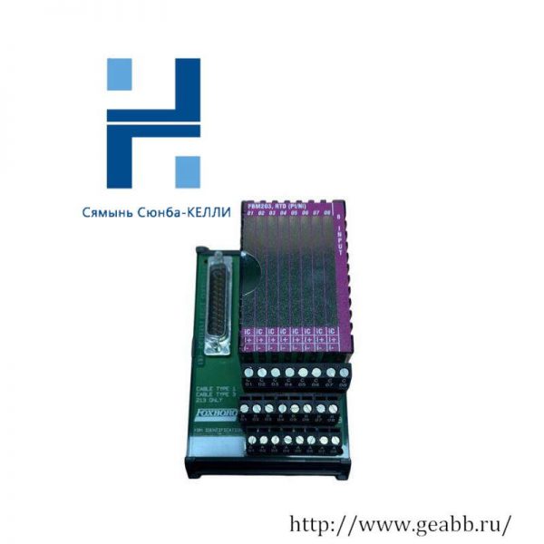 FOXBORO P0916AEOC Terminal Card: Reliable Control Module for Industrial Automation