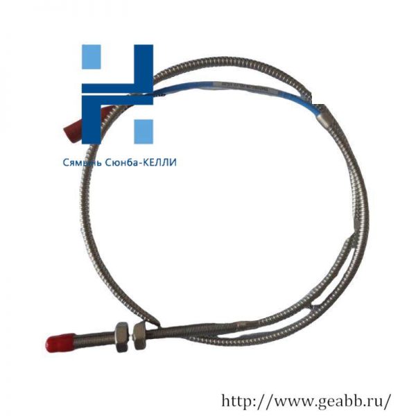 ProvibTech TM0180-A08-B00-C12-D10 Vibration Probe/Sensor