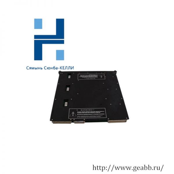 TRICONEX 9563-810 Industrial Control Termination Panel