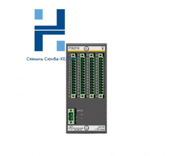 Bachmann PTAI216 Temperature Recording Module, Model Specific, Input Module