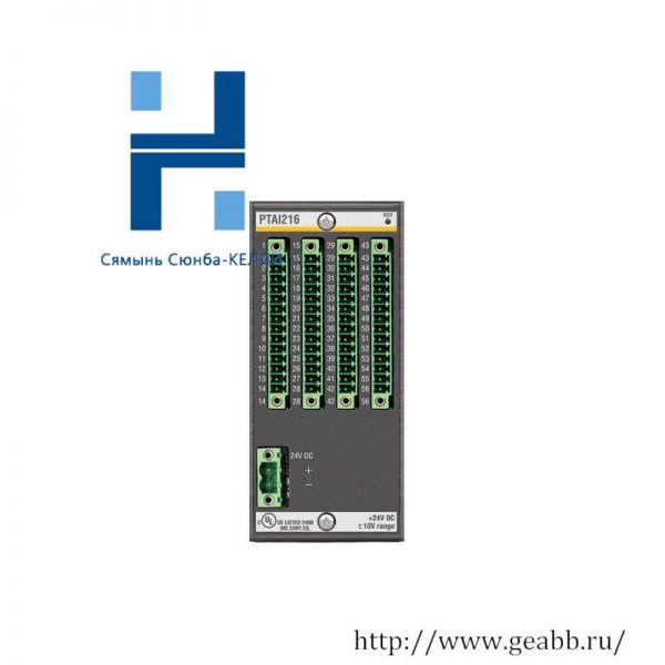 Bachmann PTAI216 Temperature Recording Module, Model Specific, Input Module